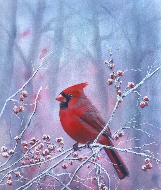 Northern Cardinal
