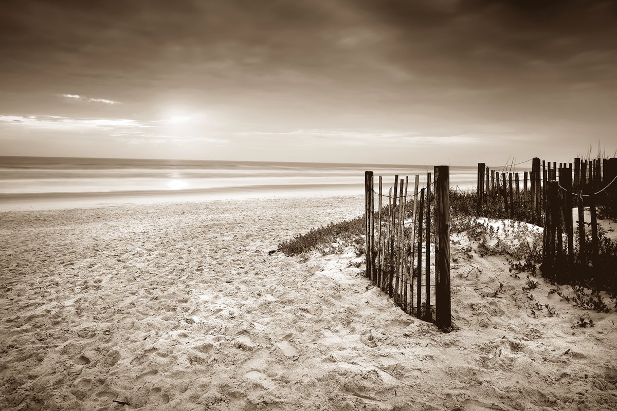 Dune Fence S by John McManus
