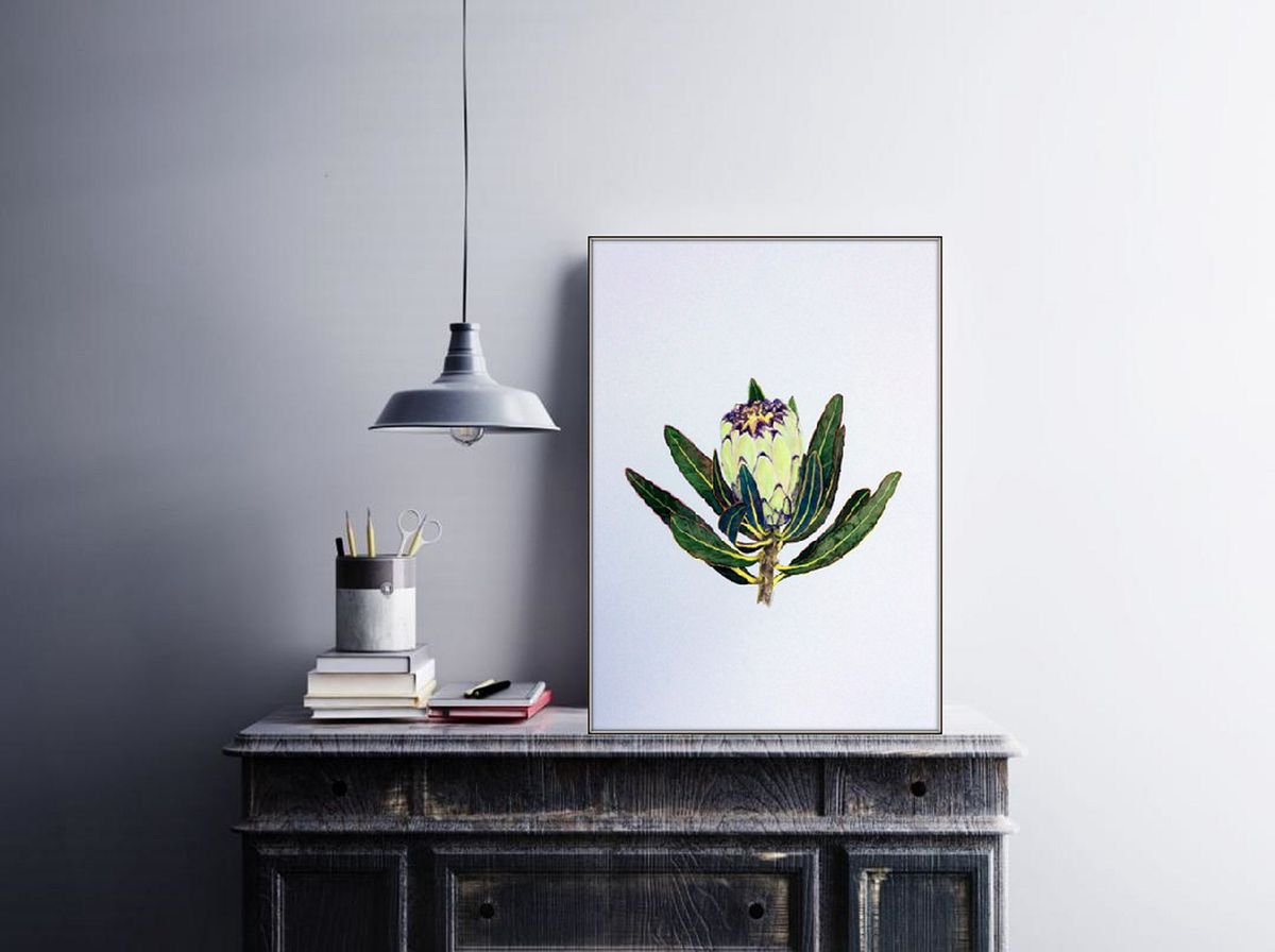 Protea neriifolia cream Mink by Jing Tian
