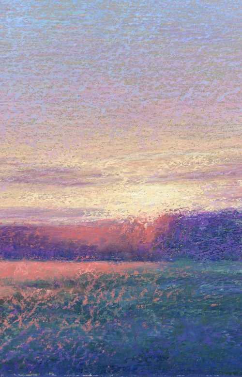 Field Of Light by Nataliia Zaharuk