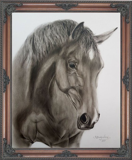 Oil painting ,, Horse Trigger,,