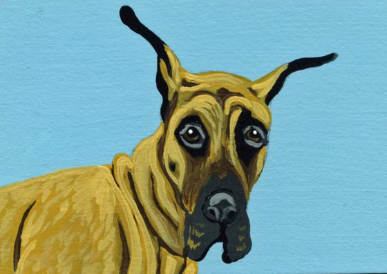 ACEO ATC Original Miniature Painting Tan Great Dane Pet Dog Art-Carla Smale