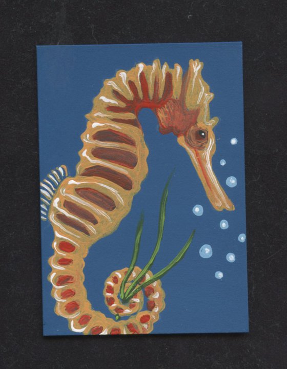 ACEO ATC Original Painting Seahorse Marine Wildlife Art-Carla Smale