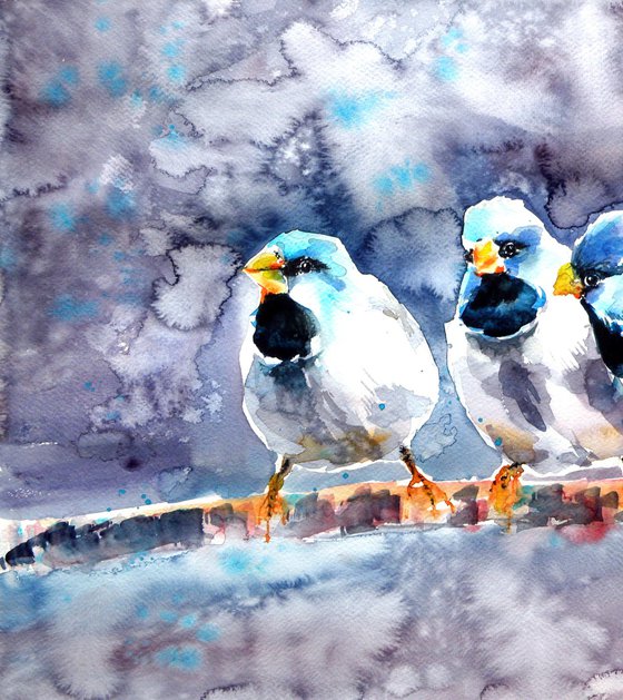 Talking birds -