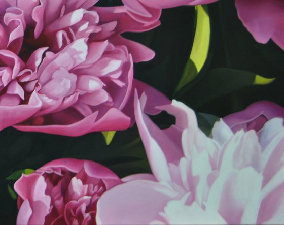 Peonies 2 , Original Oil on Canvas Art