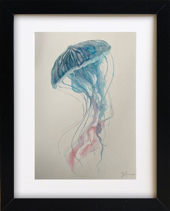 Jellyfish 1