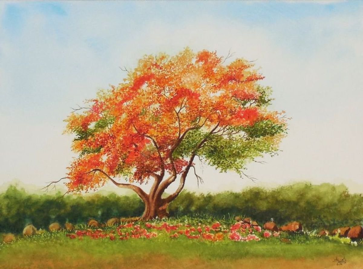 Royal Poinciana Tree by Shweta Mahajan