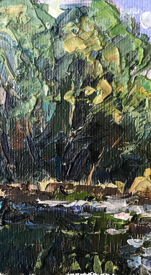 Over the Pond by Kalenyuk Alex