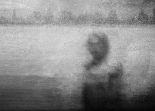 Balade champêtre..... by Philippe berthier