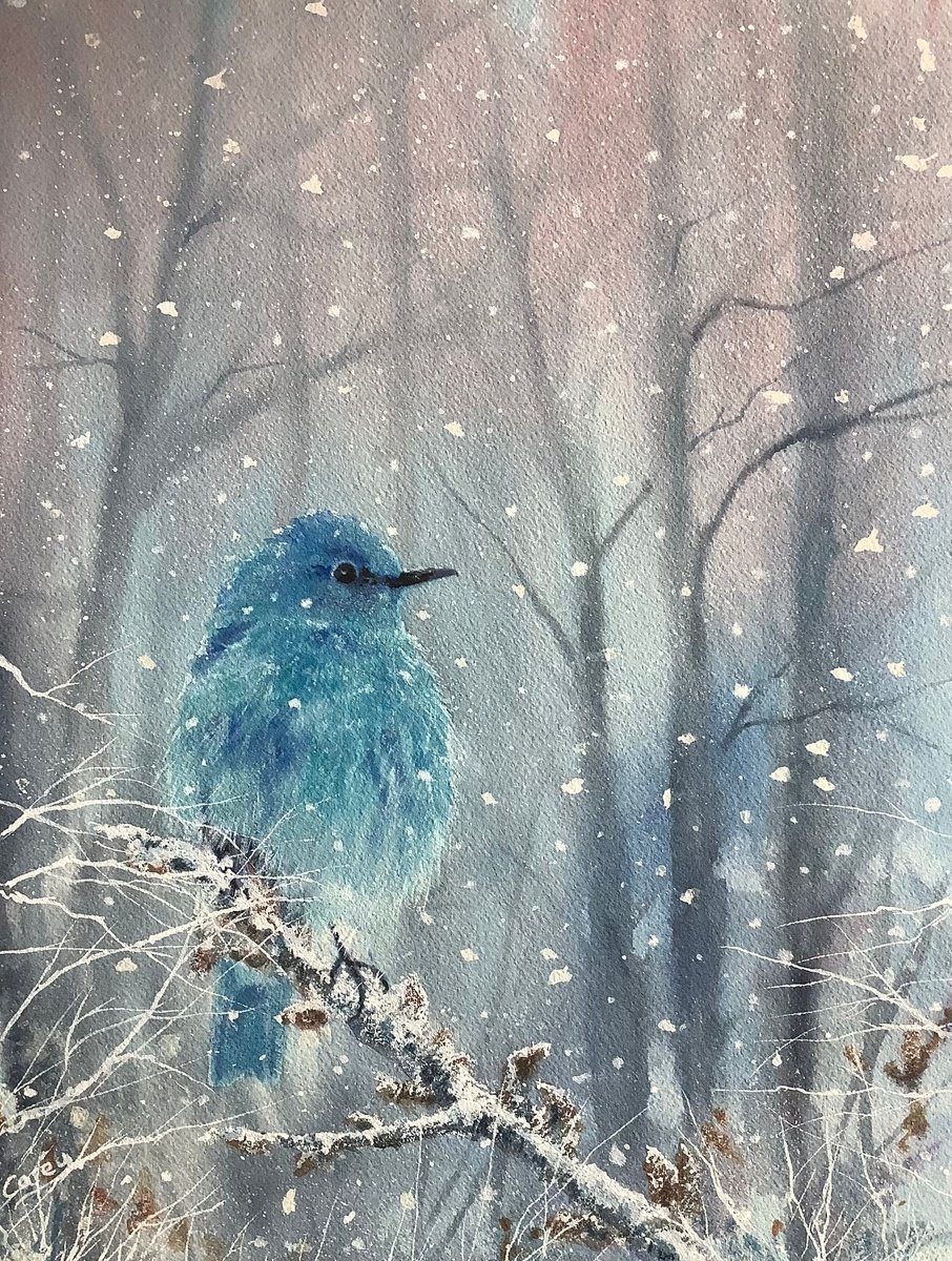 Photorealistic Watercolour , Mountain Bluebird #2 By Darren Carey, 11 X 15, Artwork For Sale On Artfinder