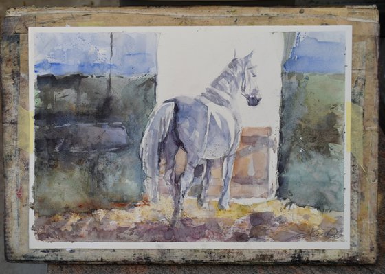 Horse in the barn