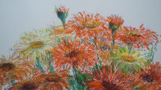 Summer bouquet.  Béllis. Original pastel drawing.