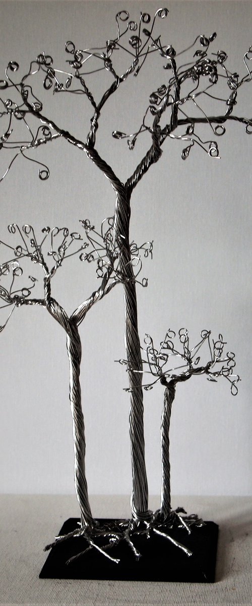 Silver tree, 3 Aspen's by Steph Morgan