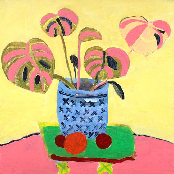 Yellow and Pink Plant