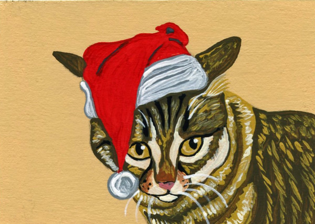 Brown Tabby Cat Pet Christmas by Carla Smale