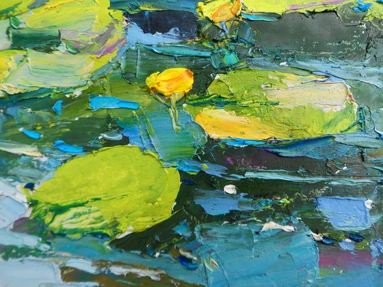 "  water lilies "