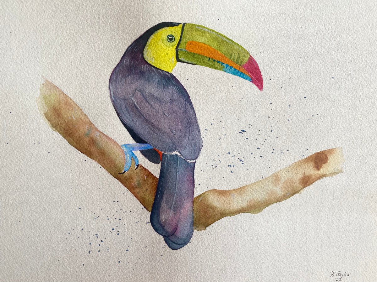 Toucan watercolour painting by Bethany Taylor
