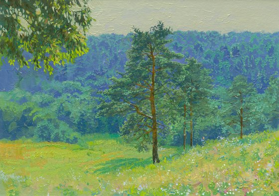Pine grove