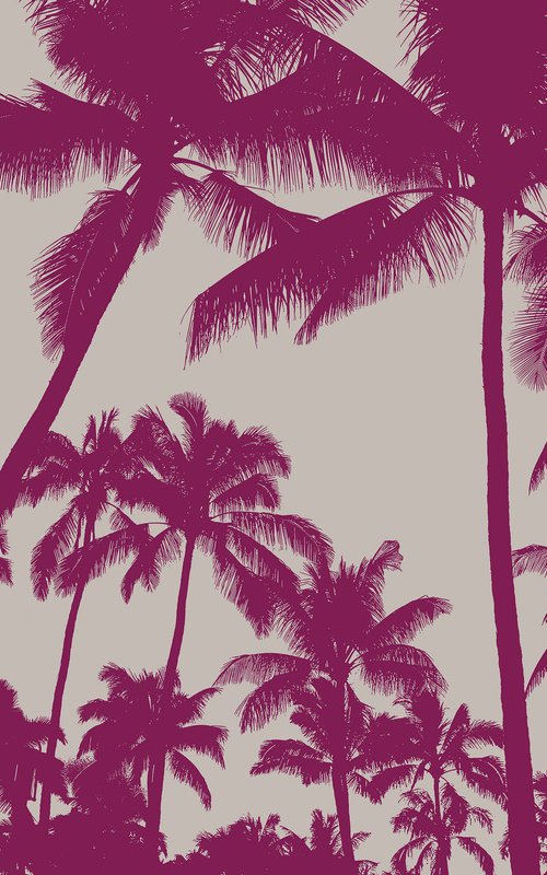 Palm tree_6 by Kosta Morr