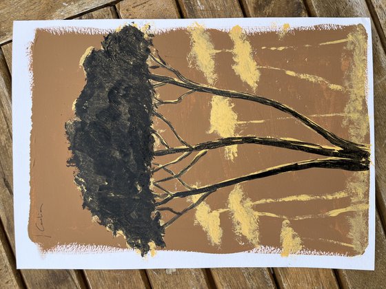Pinetrees