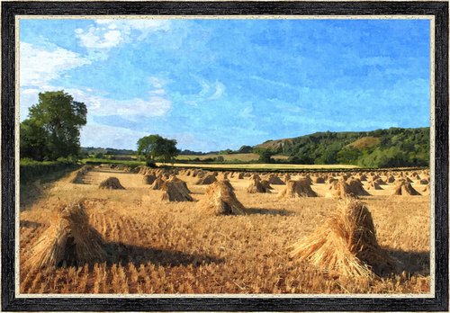 Somerset Summer by David Lacey