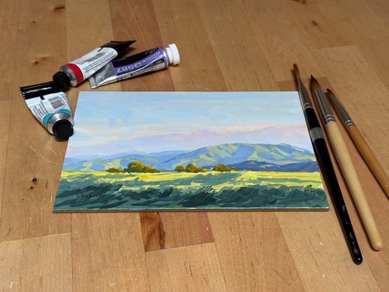 Afternoon Light Temecula Hills
