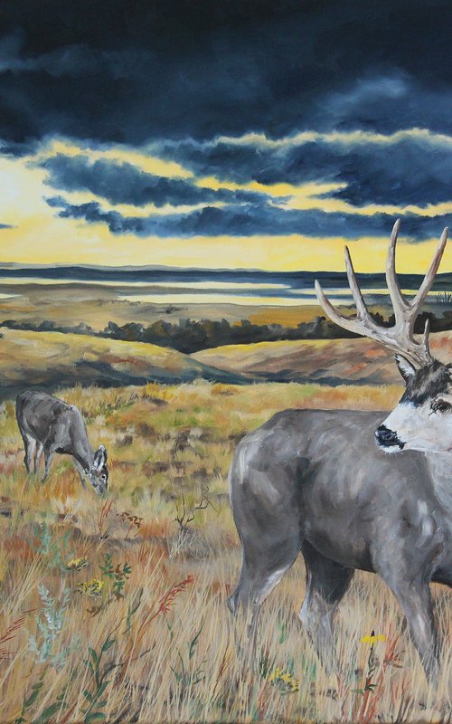 "Prairie Grass" - Landscape - Wildlife - Mule Deer by Katrina Case