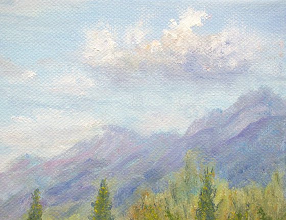 Lavender and poppies