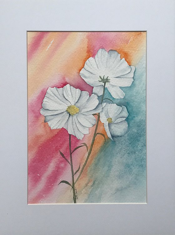 Cosmos - Original Watercolour