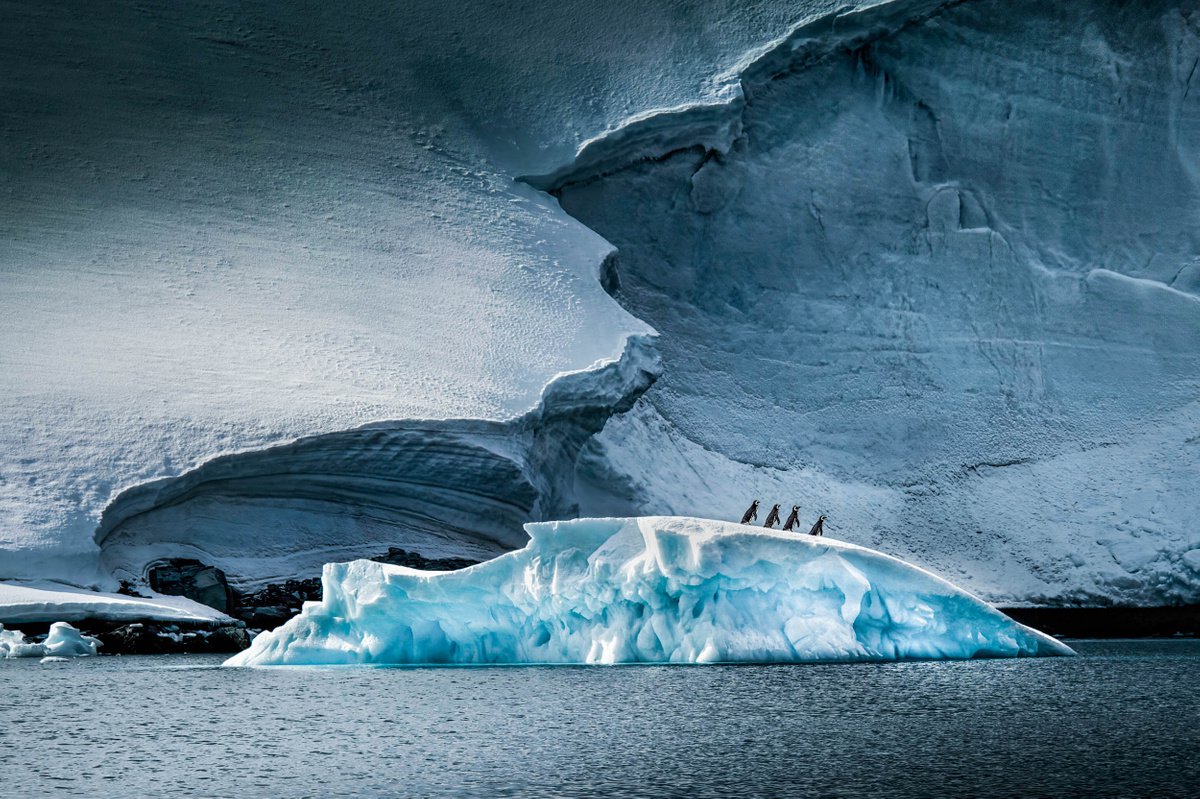 LASTING IMPRESSION...Limited Edition Photo Made in Antarctica by Harv Greenberg
