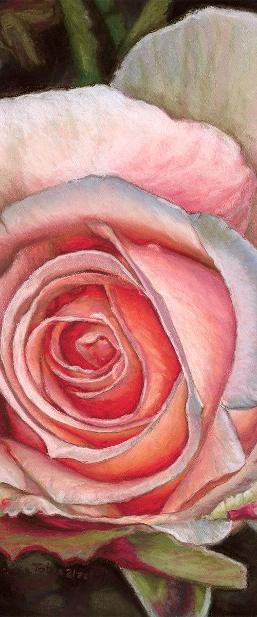 A Perfect Rose by Melissa Tobia