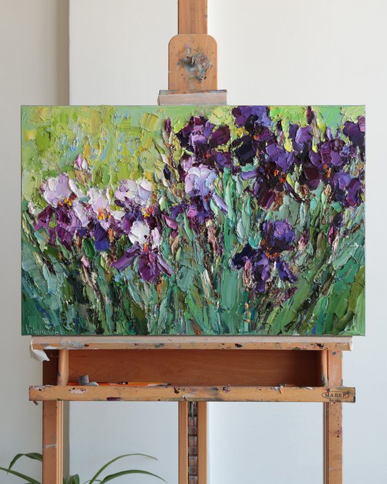 Blooming Irises
