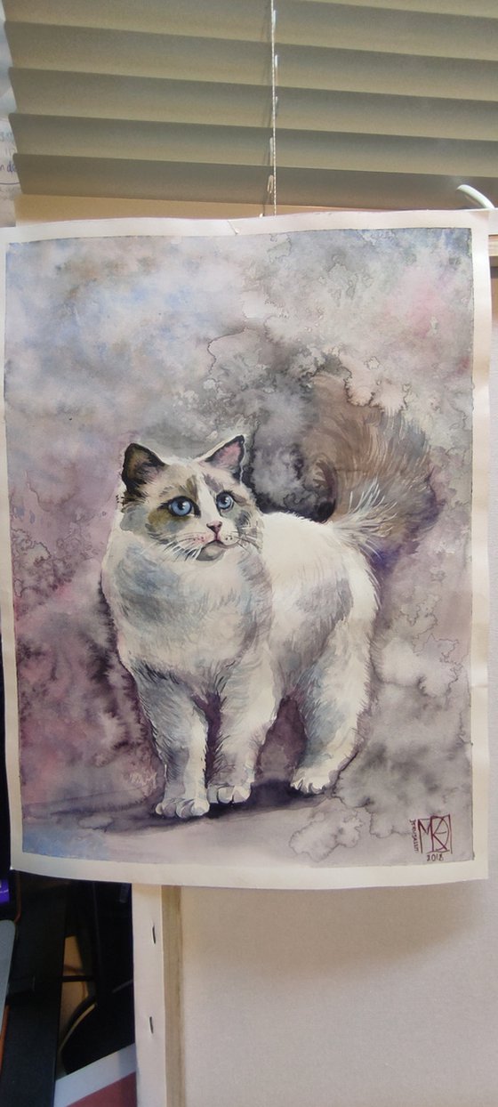 Blue eyes watercolor cat