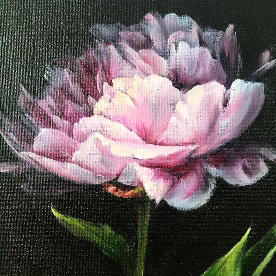 Original oil painting with peony 20*25 cm