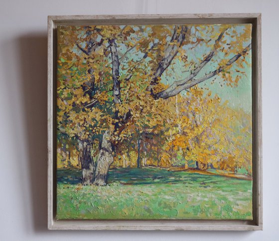 Oak tree in Tsaritsyno in October