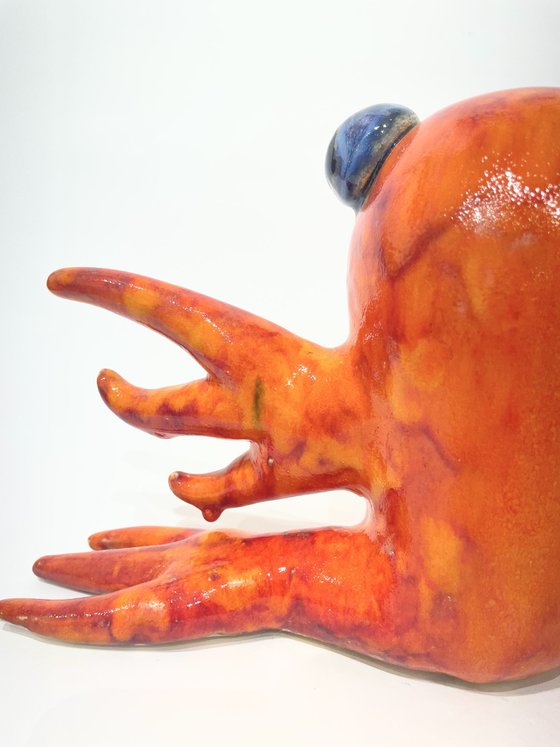 Coral Reef Creature