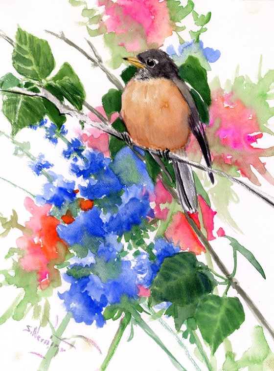 American Robin