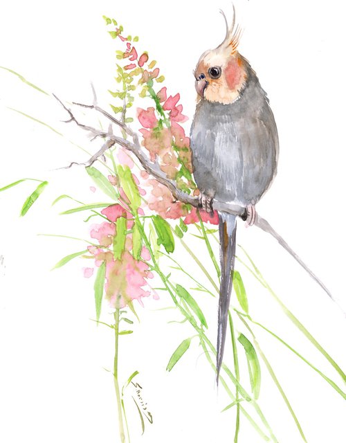 Cockatiel parrot Painting by Suren Nersisyan