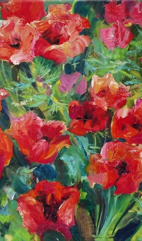 Poppies by Andriy Naboka