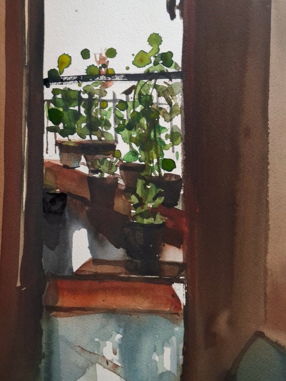 Balcony garden