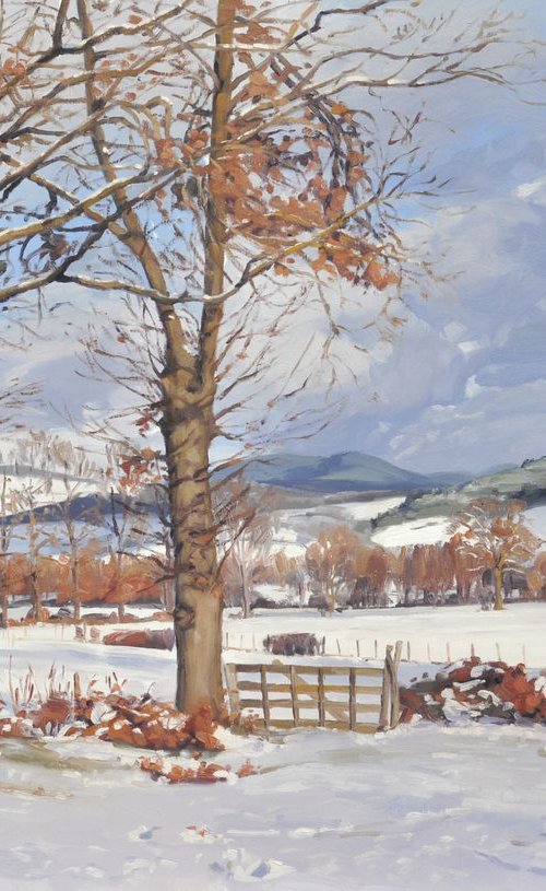 January 26, snow in Saint Vincent by ANNE BAUDEQUIN