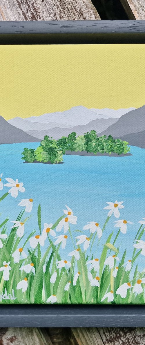 Daisies at Rydal by Sam Martin