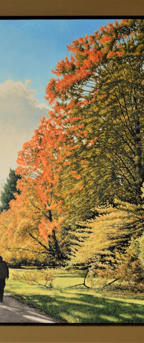 Morning Walk Westonbirt by Paul Simpkins