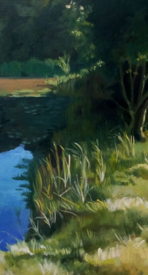 Woodland Lake by Alison  Chaplin