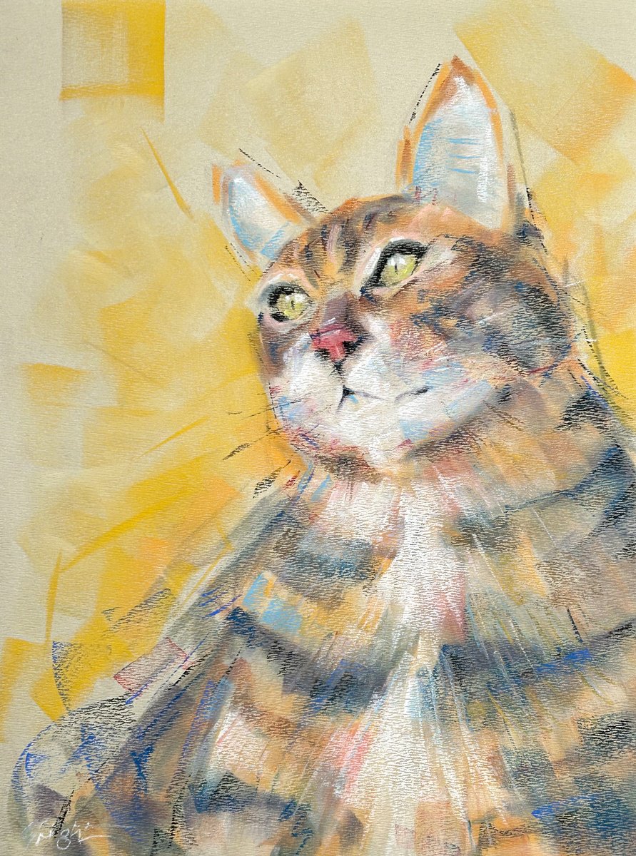 Expressive Animal Pastel Drawing By Deke Wightman, 9 X 12, Calm, For Now, Original Artwork