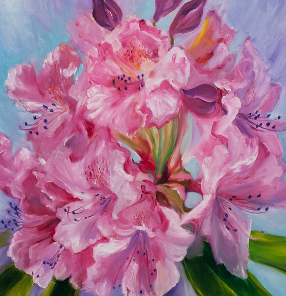 Rhododendron