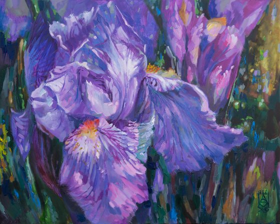 Lilac iris