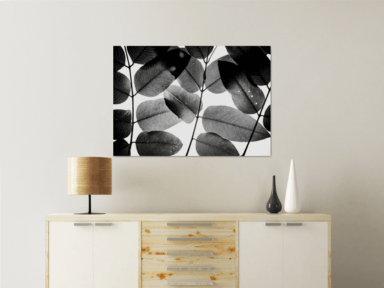 Experiments with Leaves II | Limited Edition Fine Art Print 1 of 10 | 90 x 60 cm