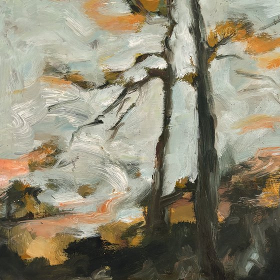High Forest