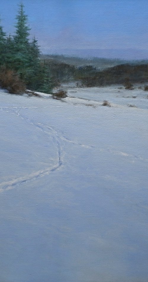 Snowlandscape by Gerard Kramer